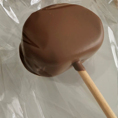 Paleta de bombón cubierta de chocolate